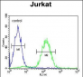 MAGEA3 Antibody (C-term)